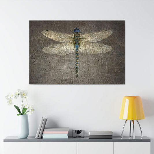 Dragonfly on Distressed Stone Background Rectangular Print on Unframed Stretched Canvas hung on wall