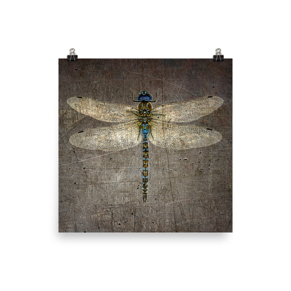 Dragonfly on Distressed Granite Background Print on Museum-quality Archival Paper Print