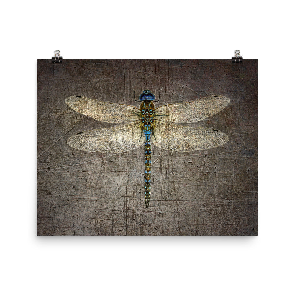 Dragonfly on Distressed Granite Background Print on Rectangular Museum-quality Archival Paper
