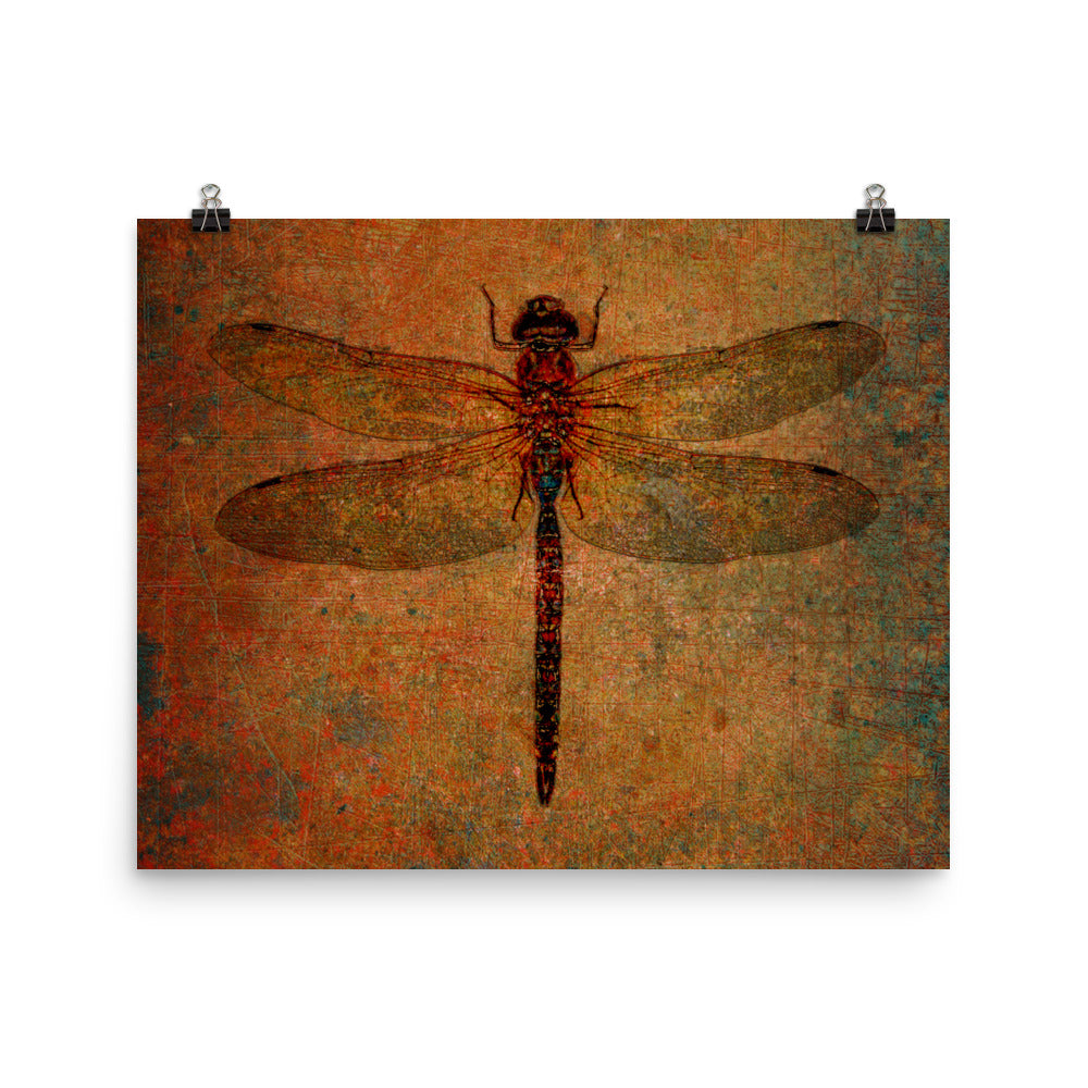 Dragonfly on Distressed Brown Background - Rectangular Museum-quality Print on Archival Paper