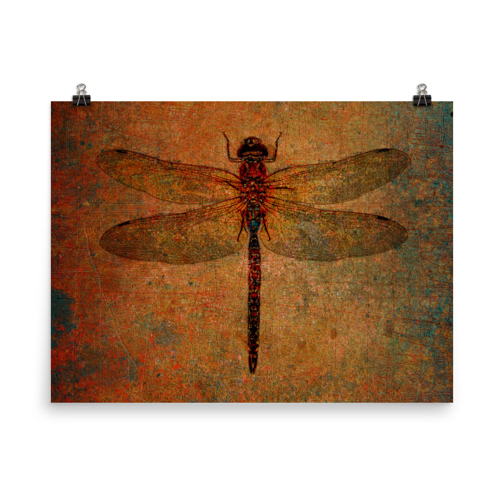 Dragonfly on Distressed Brown Background - Rectangular Museum-quality Print on Archival Paper