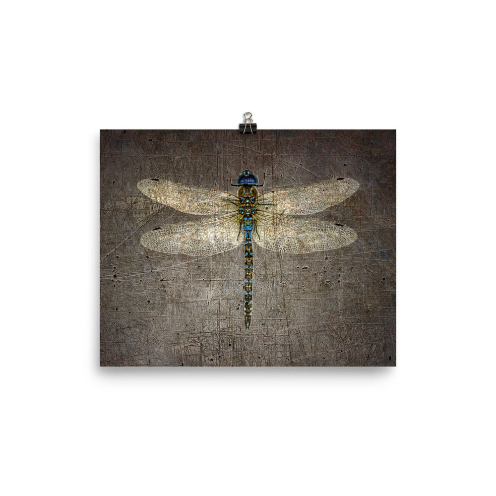 Dragonfly on Distressed Granite Background Print on Rectangular Museum-quality Archival Paper 5 sizes available