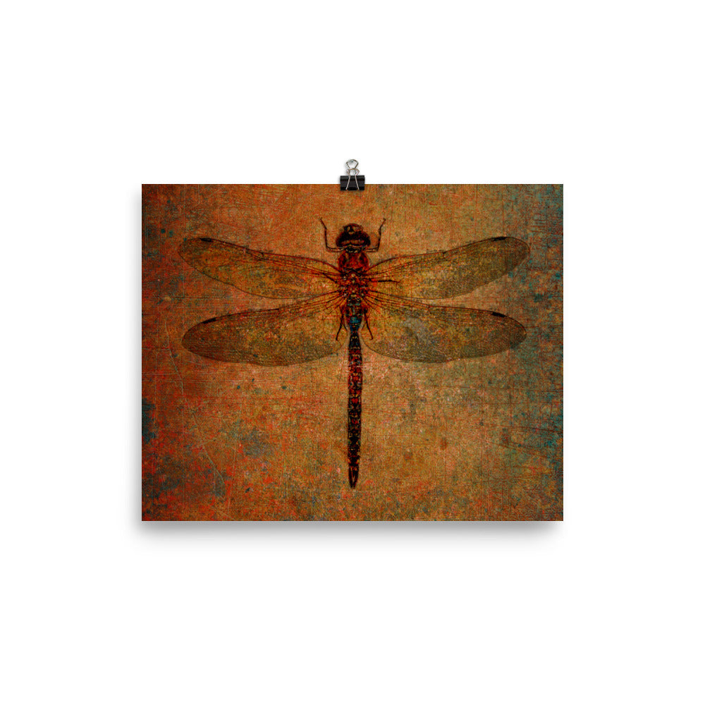 Dragonfly on Distressed Background  Rectangular Museum-quality Print on Archival paper 5 sizes available
