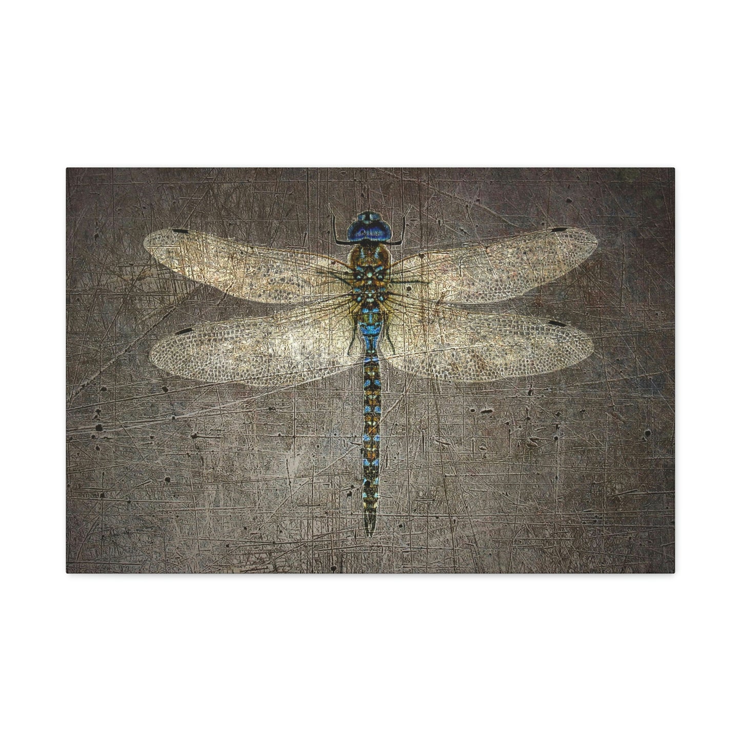 Dragonfly on Distressed Stone Background Rectangular Print on Unframed Stretched Canvas
